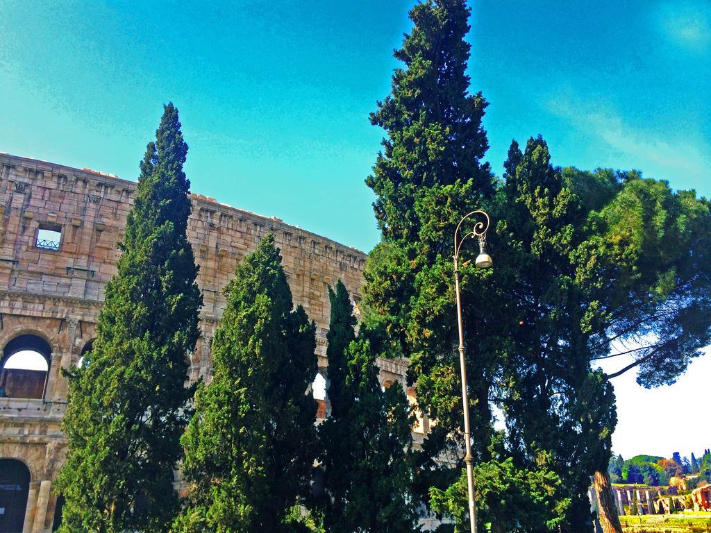 Miclad Colosseum Roma